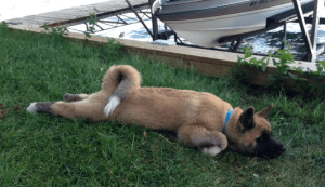 Screen Shot 2015-08-08 at 9.08.09 PM