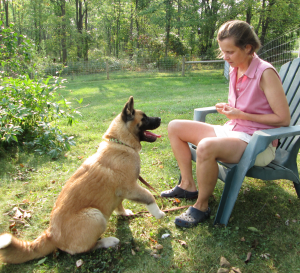 Screen Shot 2015-09-06 at 12.22.25 PM