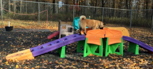 Screen Shot 2015-11-01 at 2.26.16 PM