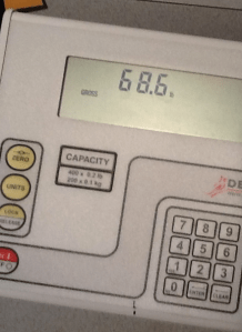 Screen Shot 2015-11-15 at 7.38.26 PM