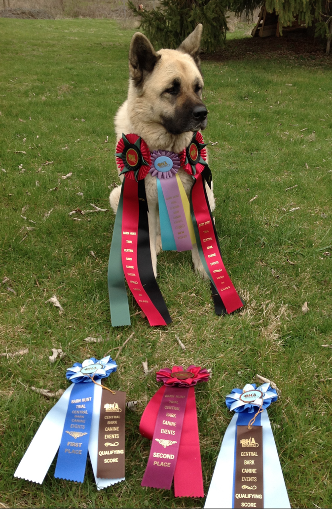 Screen Shot 2016-04-10 at 6.59.13 PM