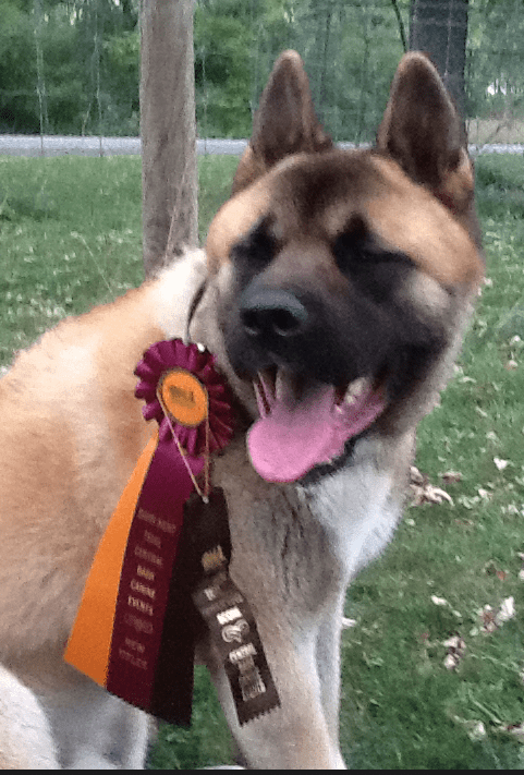 Screen Shot 2016-09-17 at 7.10.39 PM.png