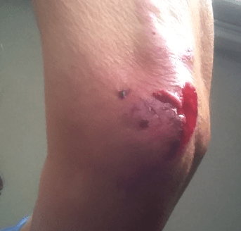 screen-shot-2016-09-18-at-11-02-47-am