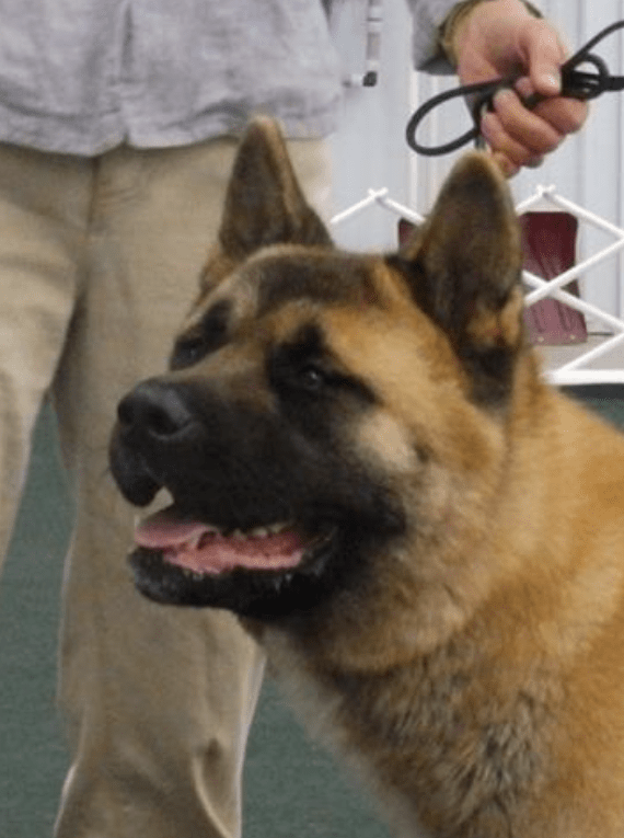 screen-shot-2016-11-07-at-9-45-53-pm