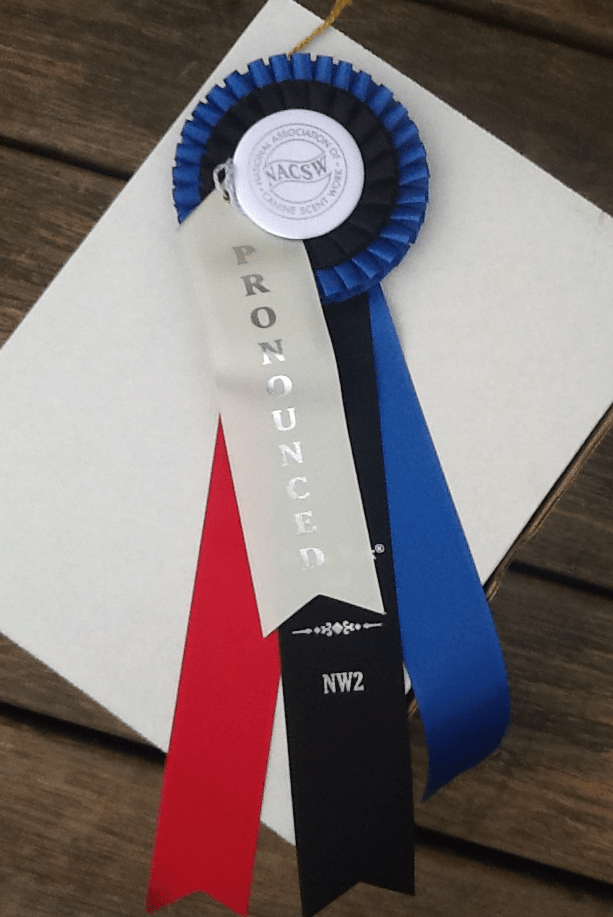 Screen Shot 2017-03-13 at 8.11.06 PM