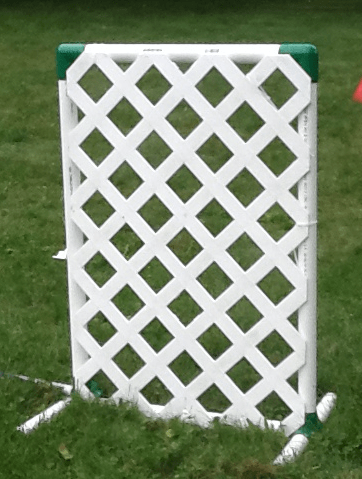 Screen Shot 2017-08-19 at 1.08.16 PM