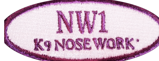 Screen Shot 2017-10-01 at 1.23.00 PM