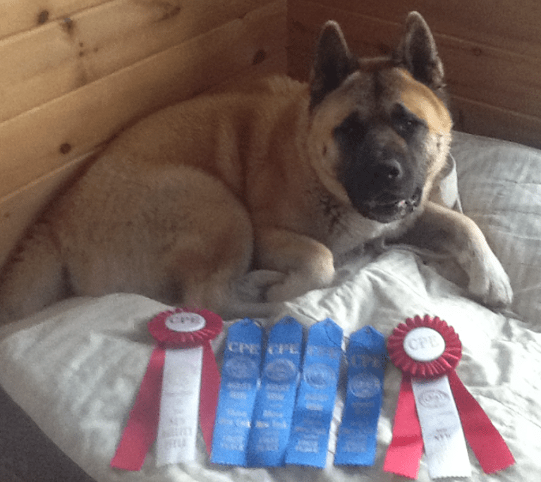 Screen Shot 2018-03-04 at 5.37.53 PM