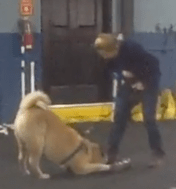 Screen Shot 2018-03-16 at 3.52.08 PM