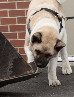 Screen Shot 2016-07-02 at 12.19.38 AM