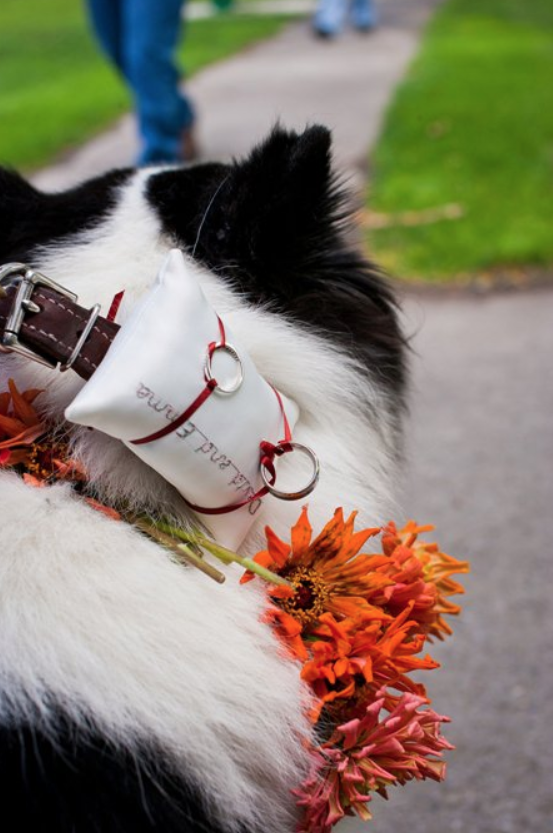 Screen Shot 2018-08-26 at 10.24.21 AM