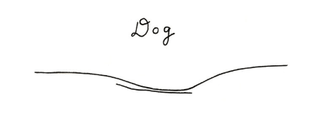 Screen Shot 2019-02-27 at 12.24.16 PM