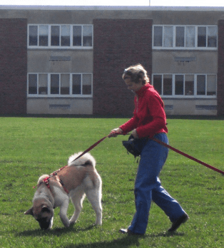 Screen Shot 2016-02-20 at 12.55.01 PM