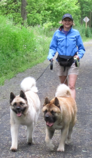 Screen Shot 2018-07-13 at 2.44.25 PM