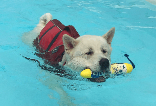 Screen Shot 2019-06-27 at 9.12.27 AM